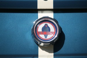 Mustang GT 350 1965_011